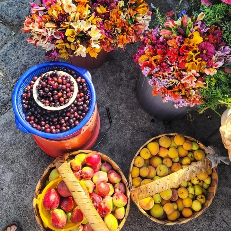 Route 5: Culinary Walking Tour